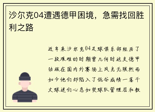 沙尔克04遭遇德甲困境，急需找回胜利之路